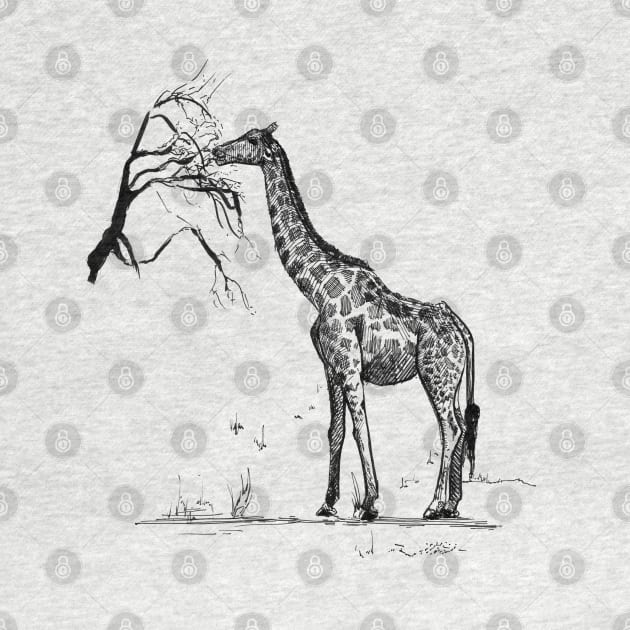 Giraffe Ink Drawing by Fireside Press